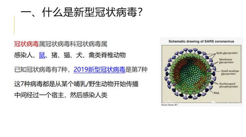 百人隔離敲警鐘 央企強化工程管理服務(wù)中的疫情防控體系建設(shè)